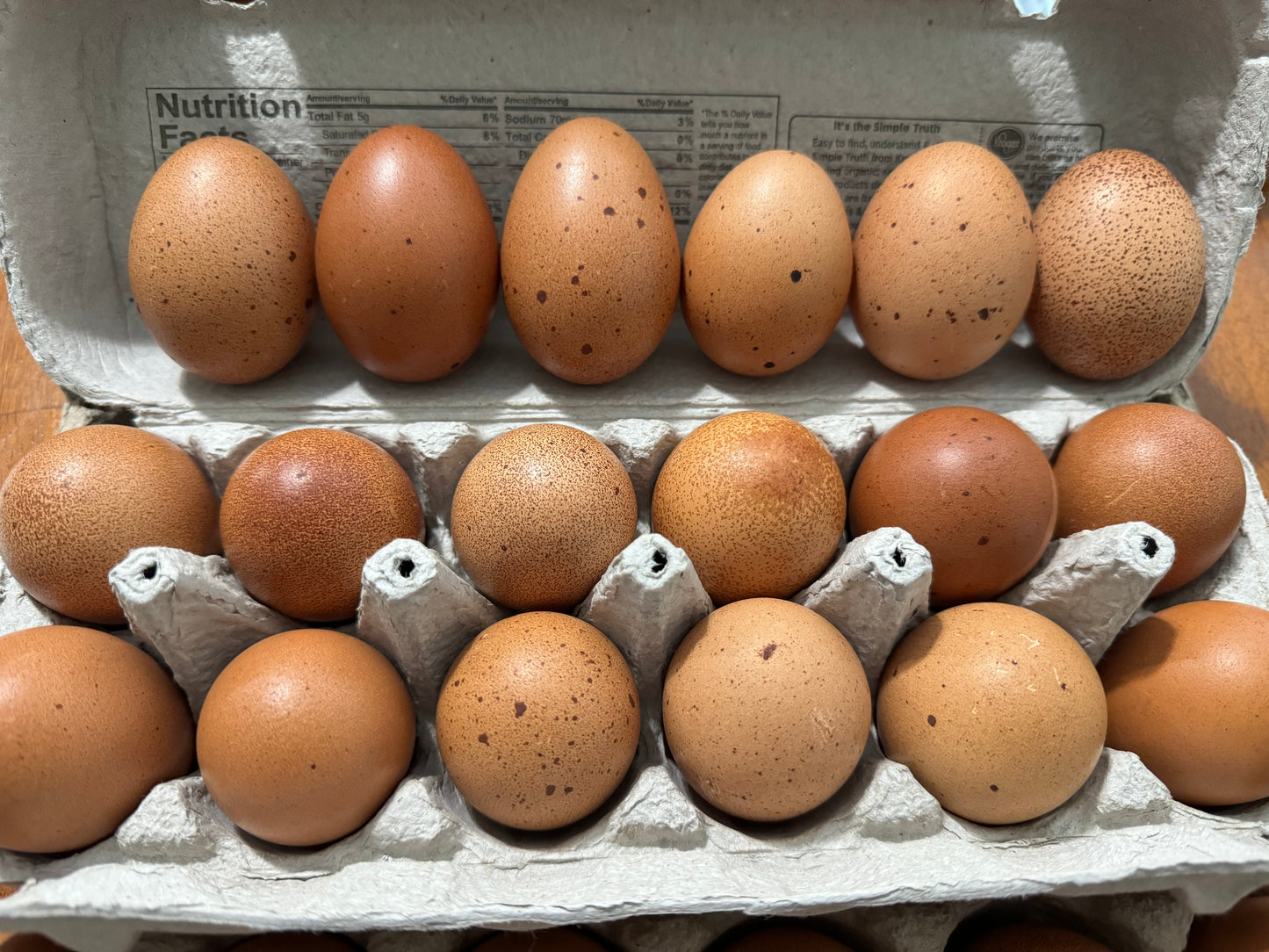 Welsummer Chicks