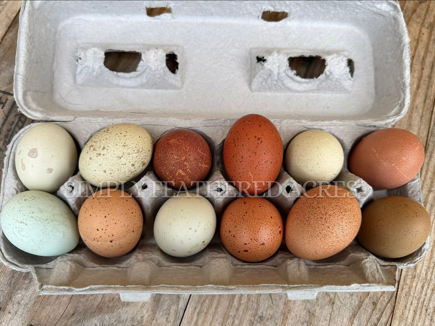 Speckled Hatching Eggs