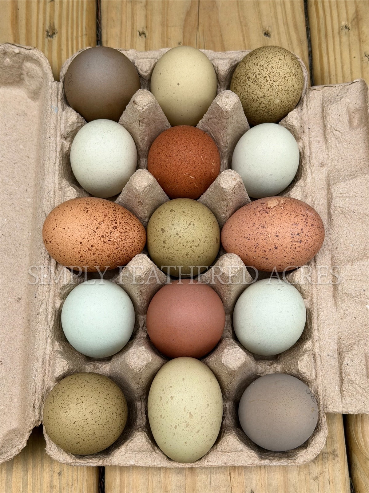 Speckles & Blooms Hatching Eggs