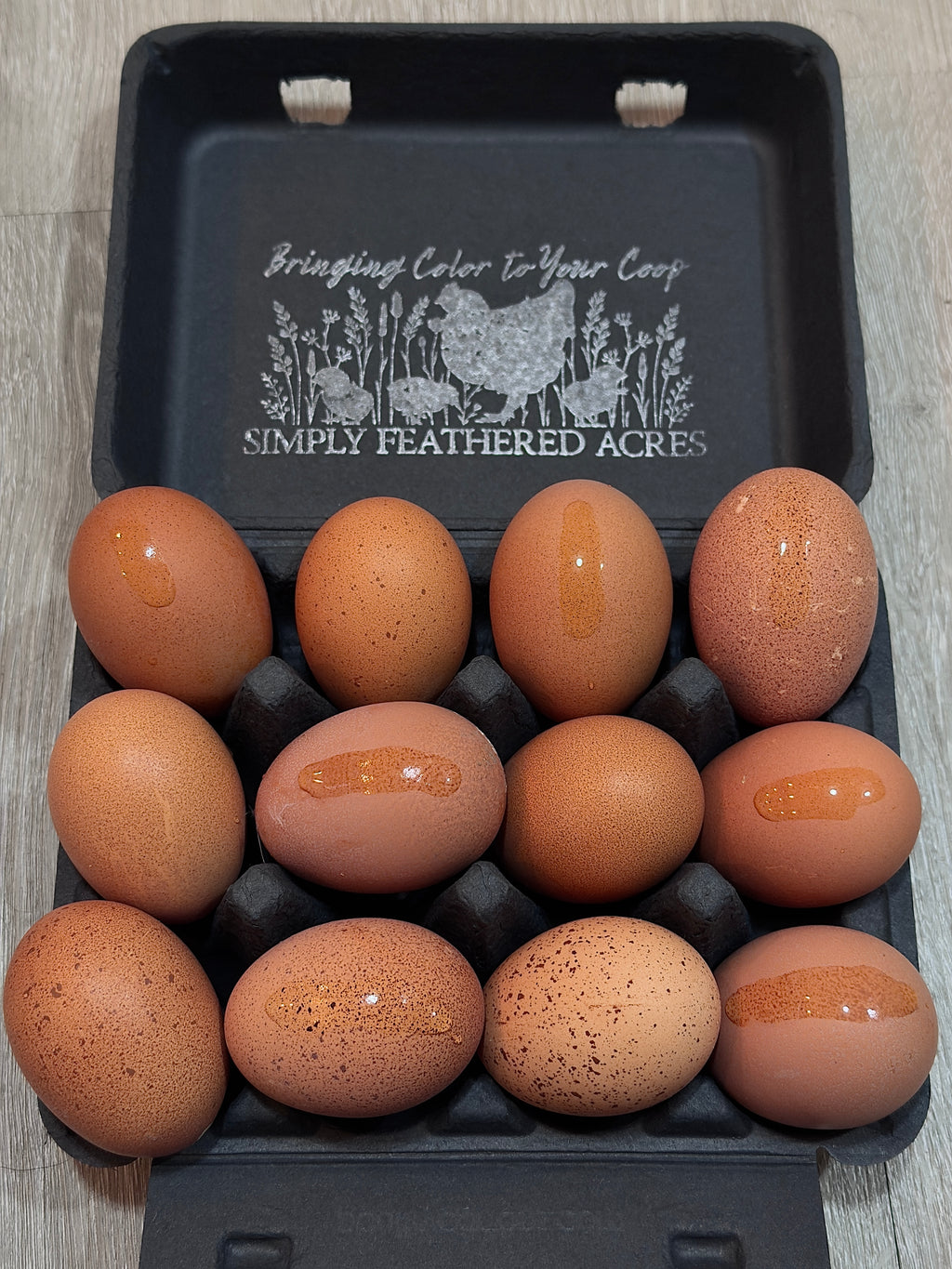 Welsummer Hatching Eggs