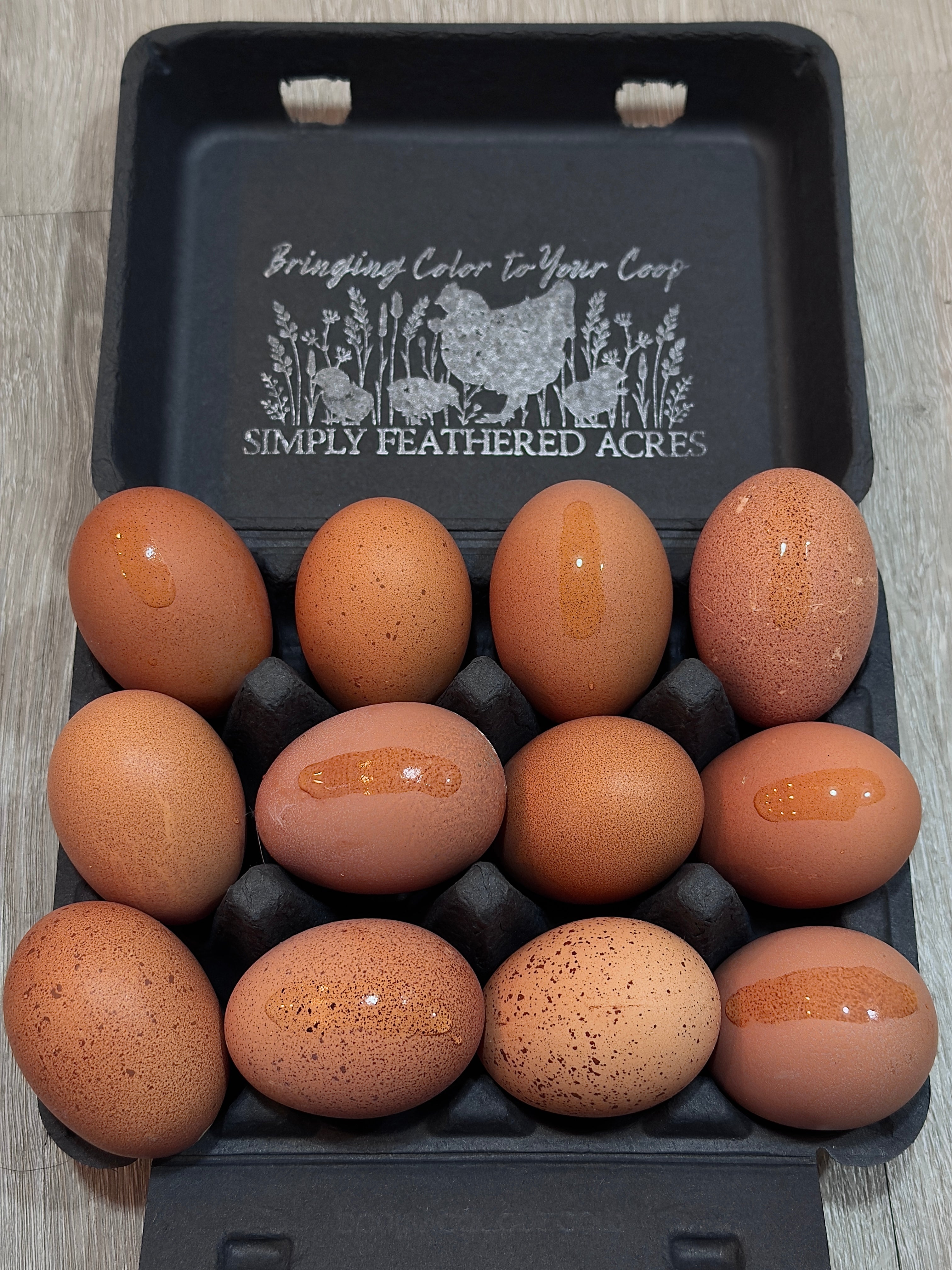 Welsummer Hatching Eggs