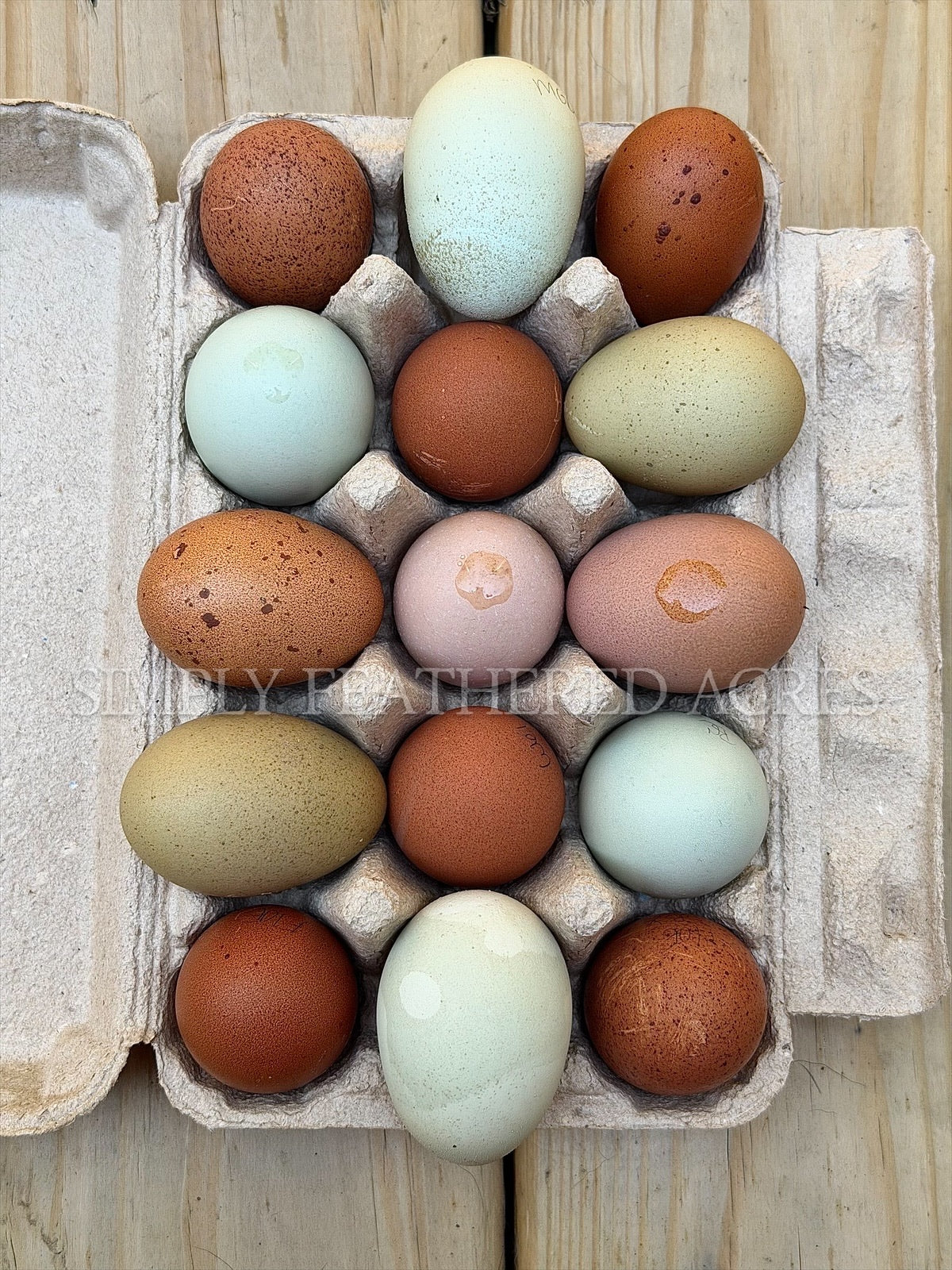 Rainbow Hatching Eggs