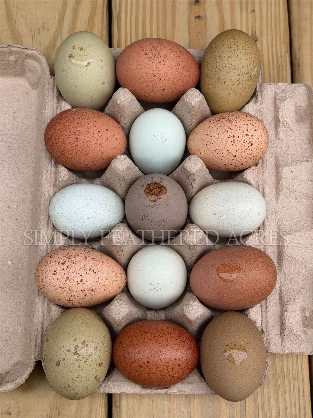 Speckles & Blooms Hatching Eggs