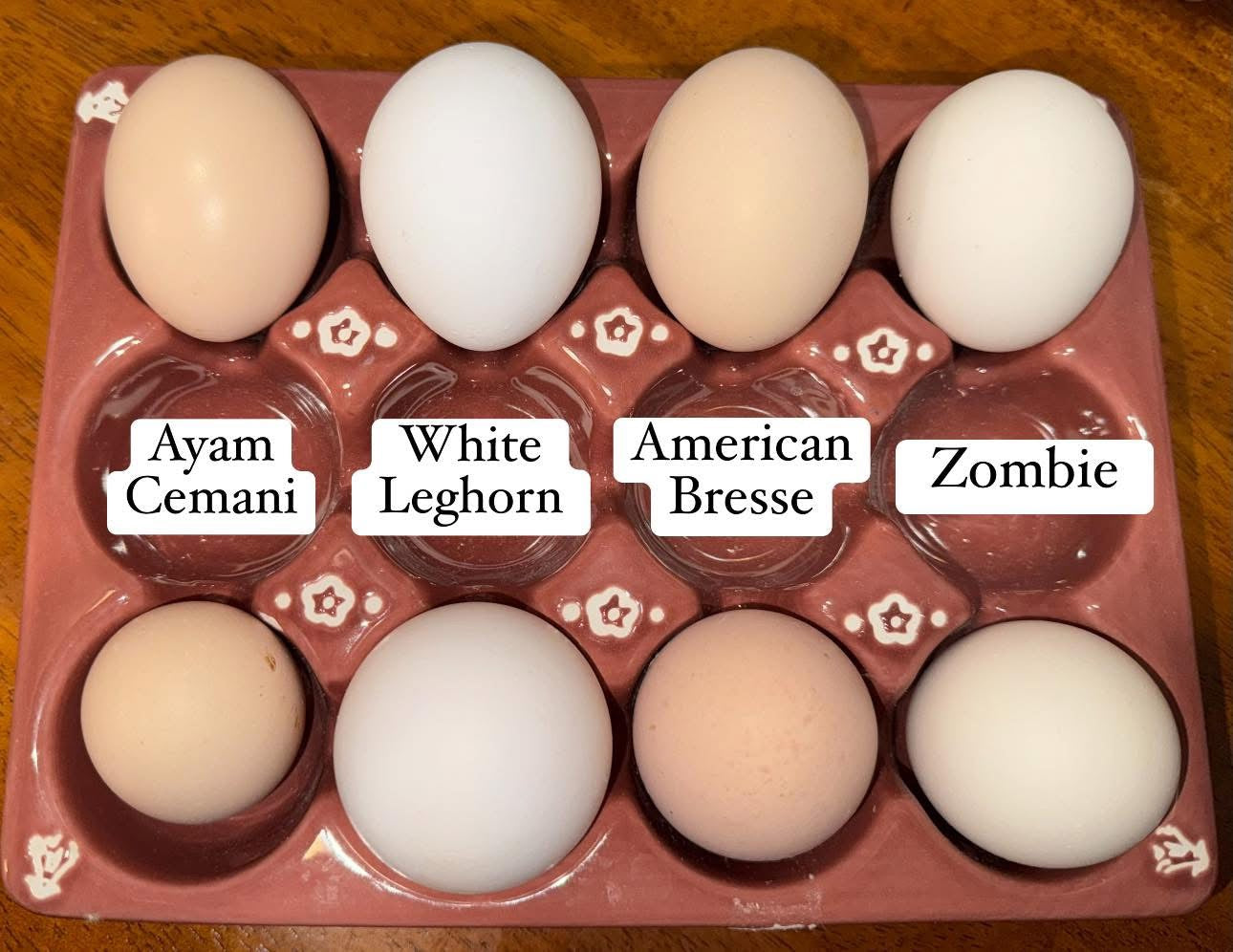 Zombie Chicks