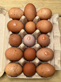 Welsummer Hatching Eggs