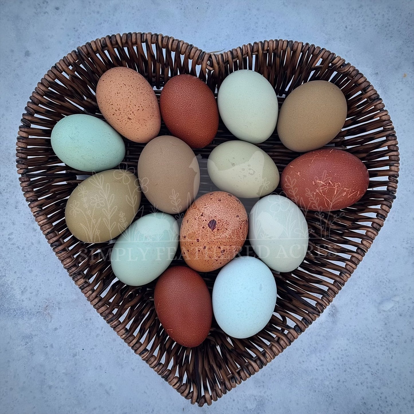 Breeder’s Choice Hatching Eggs