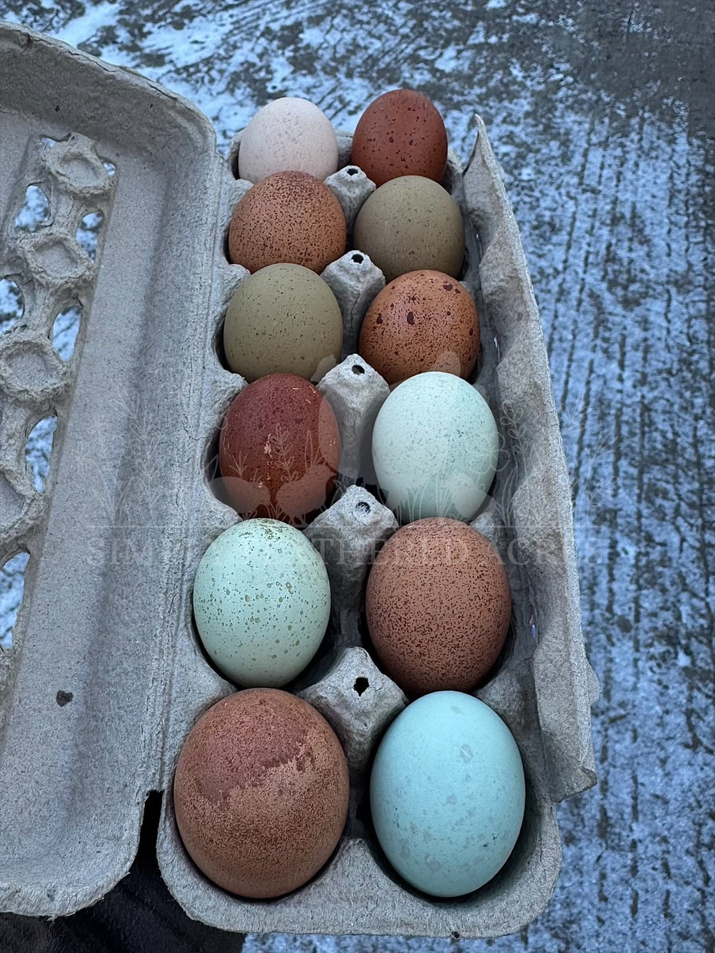 Speckled Hatching Eggs