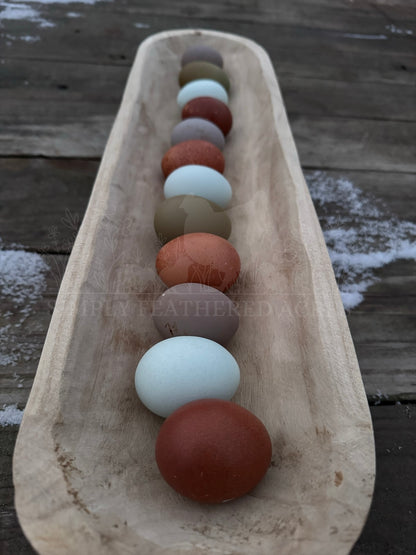 Rainbow Hatching Eggs
