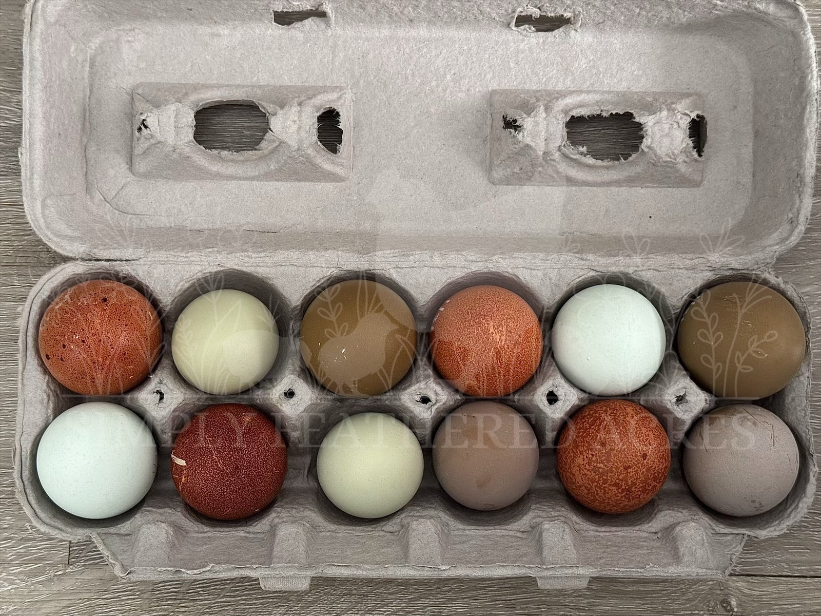 Rainbow Hatching Eggs