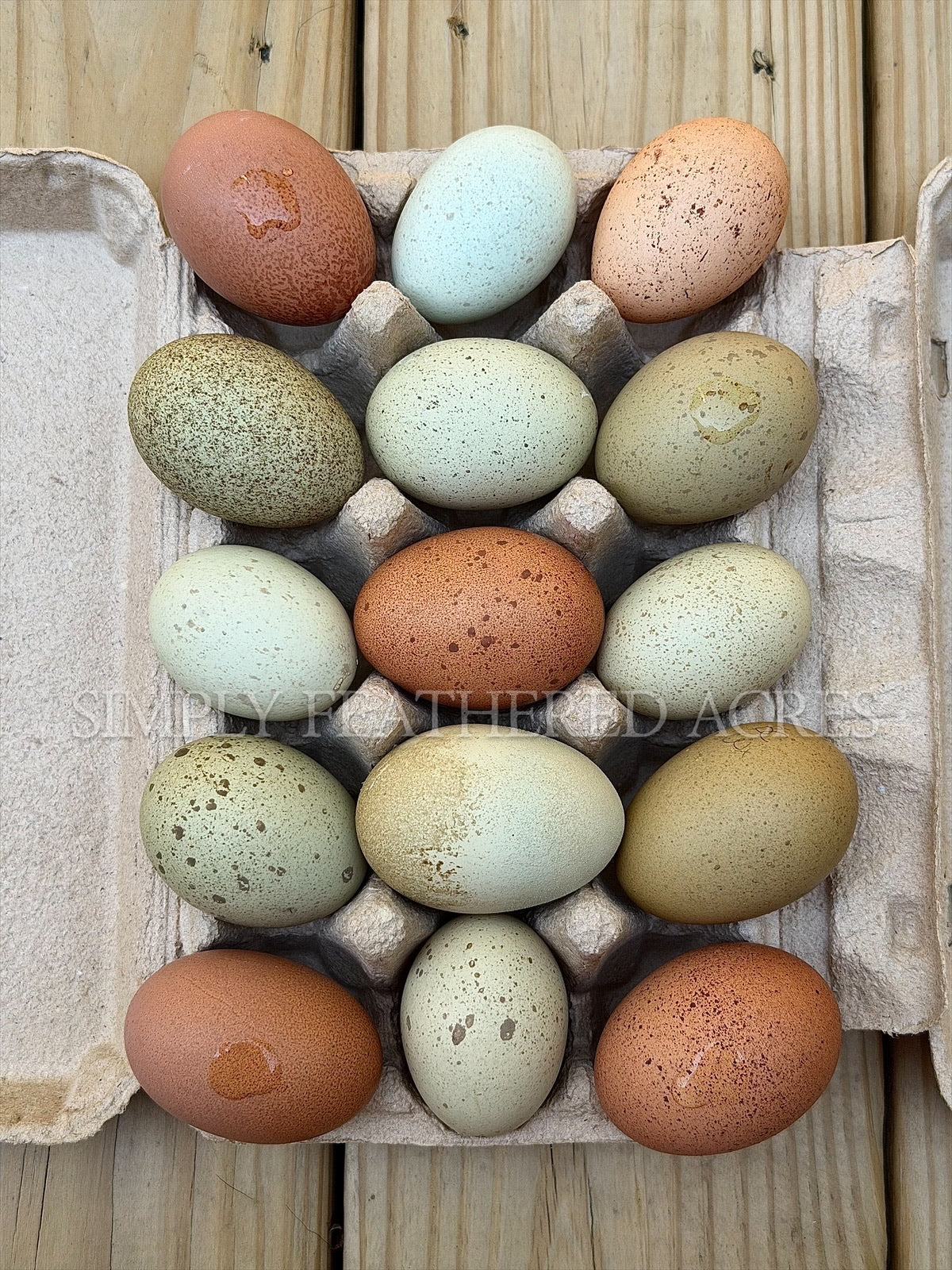 Speckles & Blooms Hatching Eggs