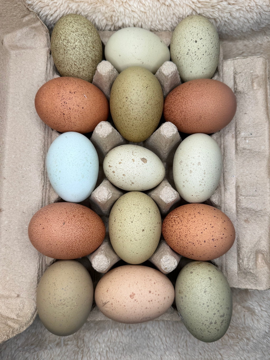 Rainbow Hatching Eggs