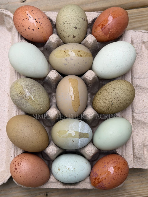 Egg Basket Overflow
