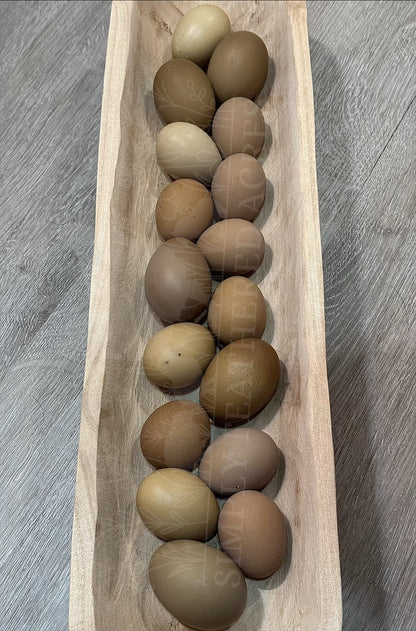 Olive Hatching Eggs