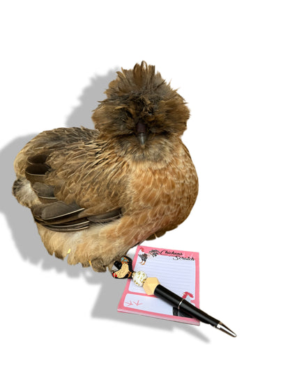 Chicken Pen