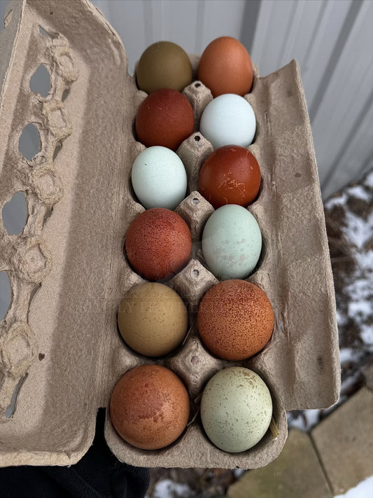 Breeder’s Choice Hatching Eggs