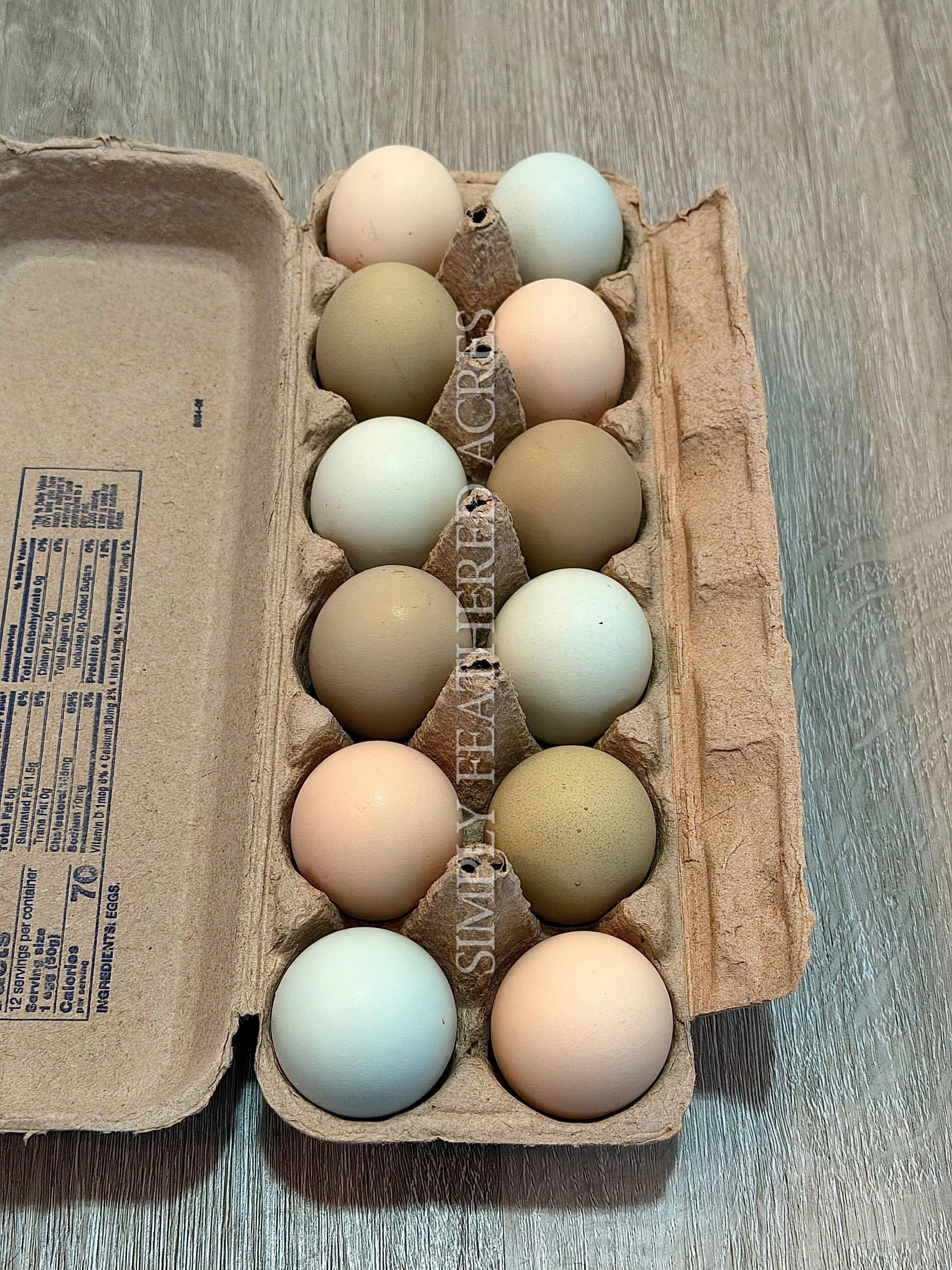 Fibro Mix Hatching Eggs
